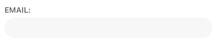 Auth Text Field in MP3