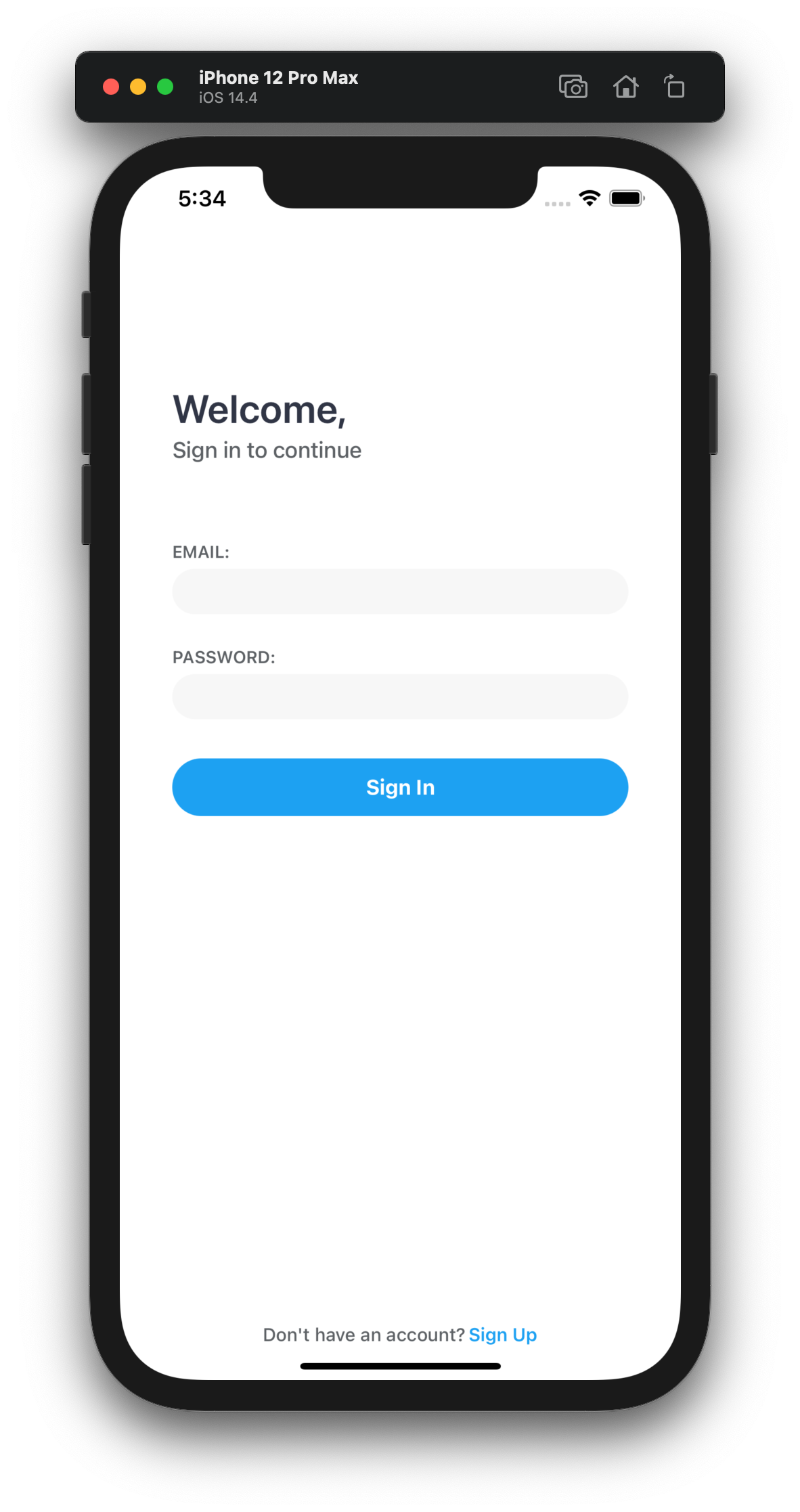 MP3 iOS Sign In Screen